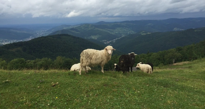view at javorníky mountains javorníky výhled