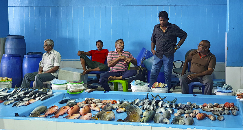 rybí trh fish market