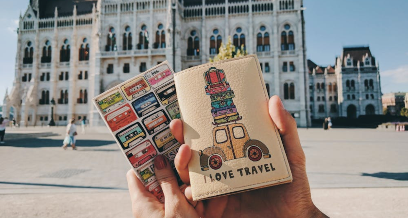 obal na cestovní pas passport case