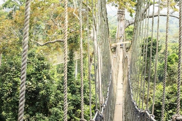 Ghana, tropický dešťový prales