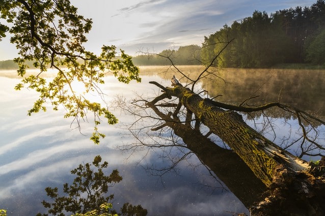Cyklotrasa kolem Třeboně. Rybník