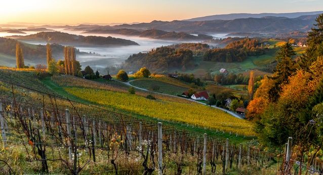 vinobrani-rakousko-slovensko