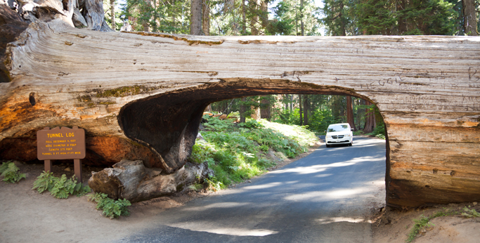 Tunnel Log