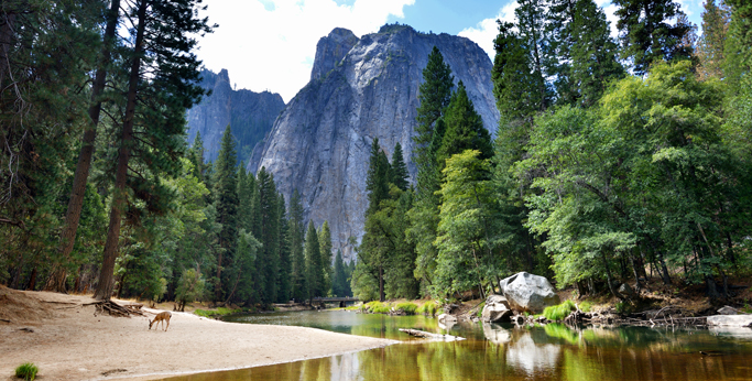Yosemitský národní park